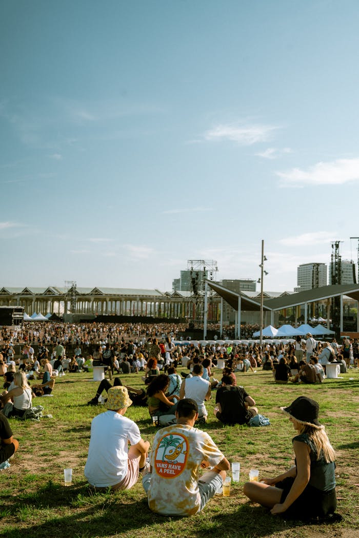 Home A large crowd enjoys an outdoor music festival on a sunny day in an urban park.